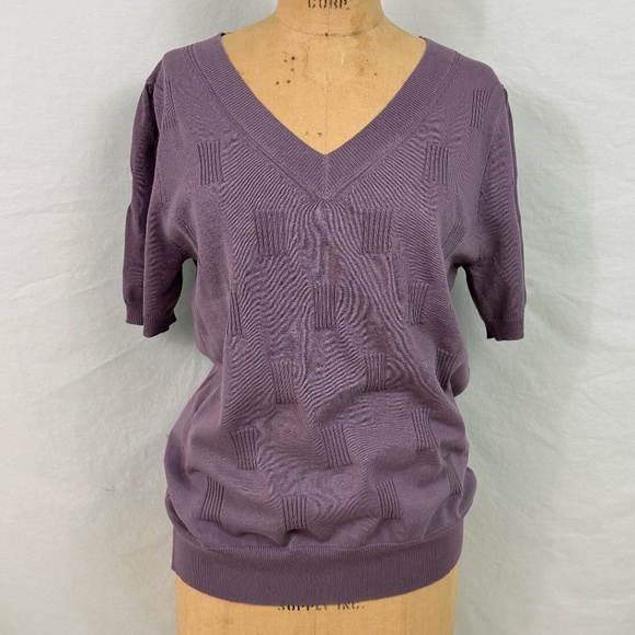 NWT Arach & Cloz Purple Short Sleeve V-Neck Sweater With Texture Details - Picture 1 of 11